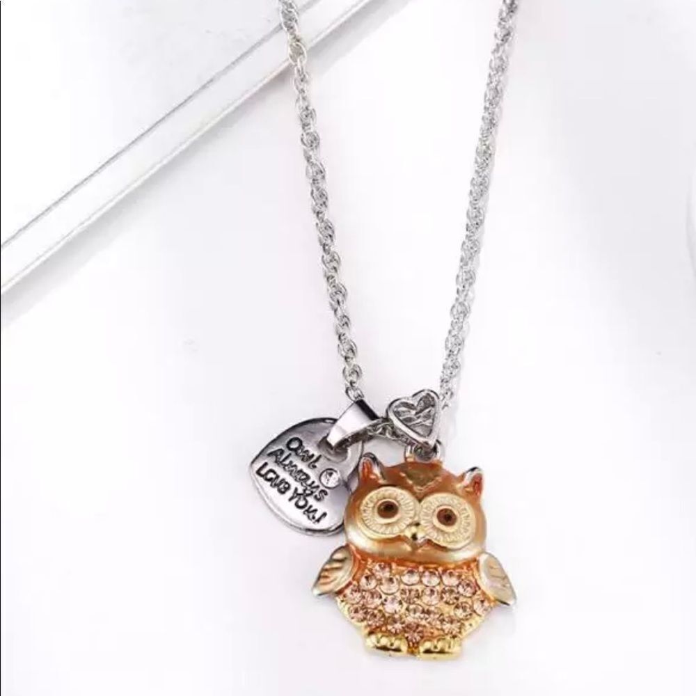 Owl Always Love You Necklace‎